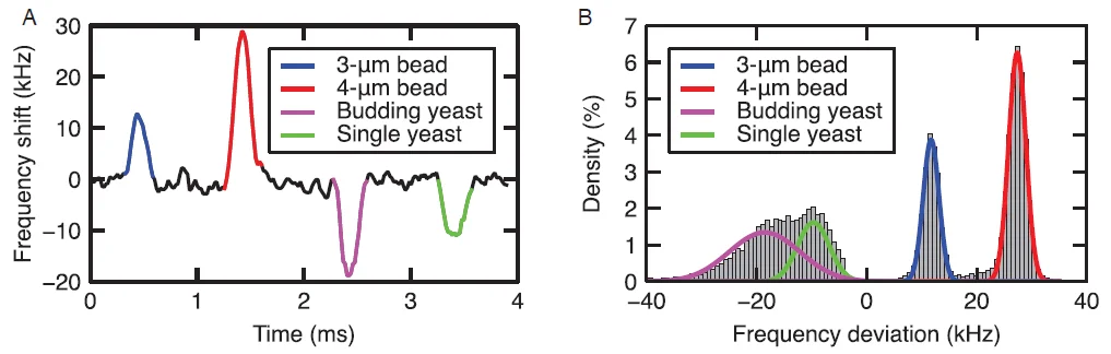 Figure 5: (A) Frequency shift as cells and particles pass the measurement electrodes. (B) Histogram of the frequency shifts of a complete measurement