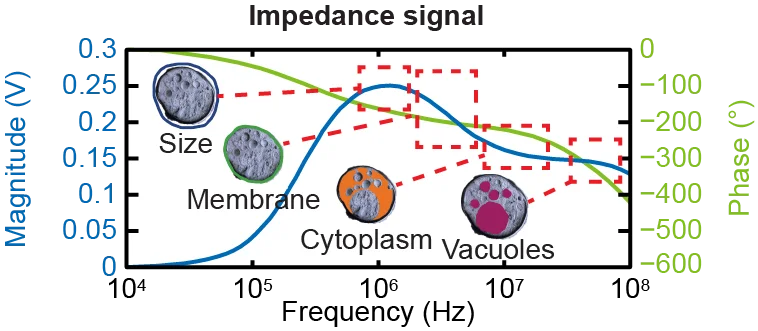 Figure 1: The impedance of a cell as a function of frequency.