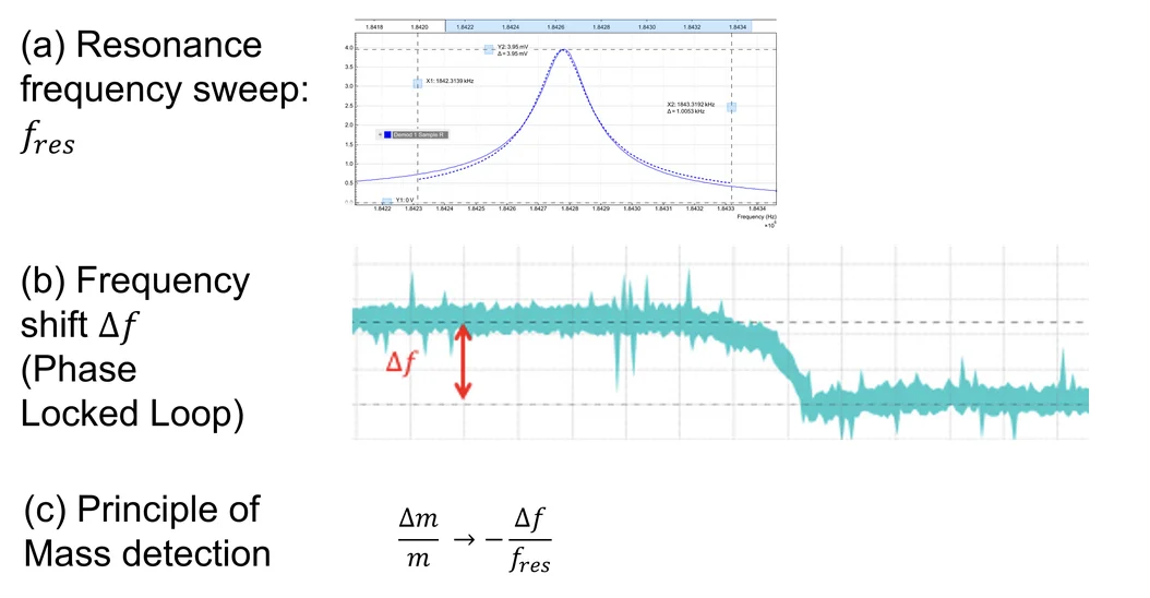 Mass sensing