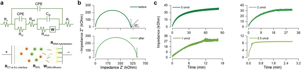 EC assay impedance