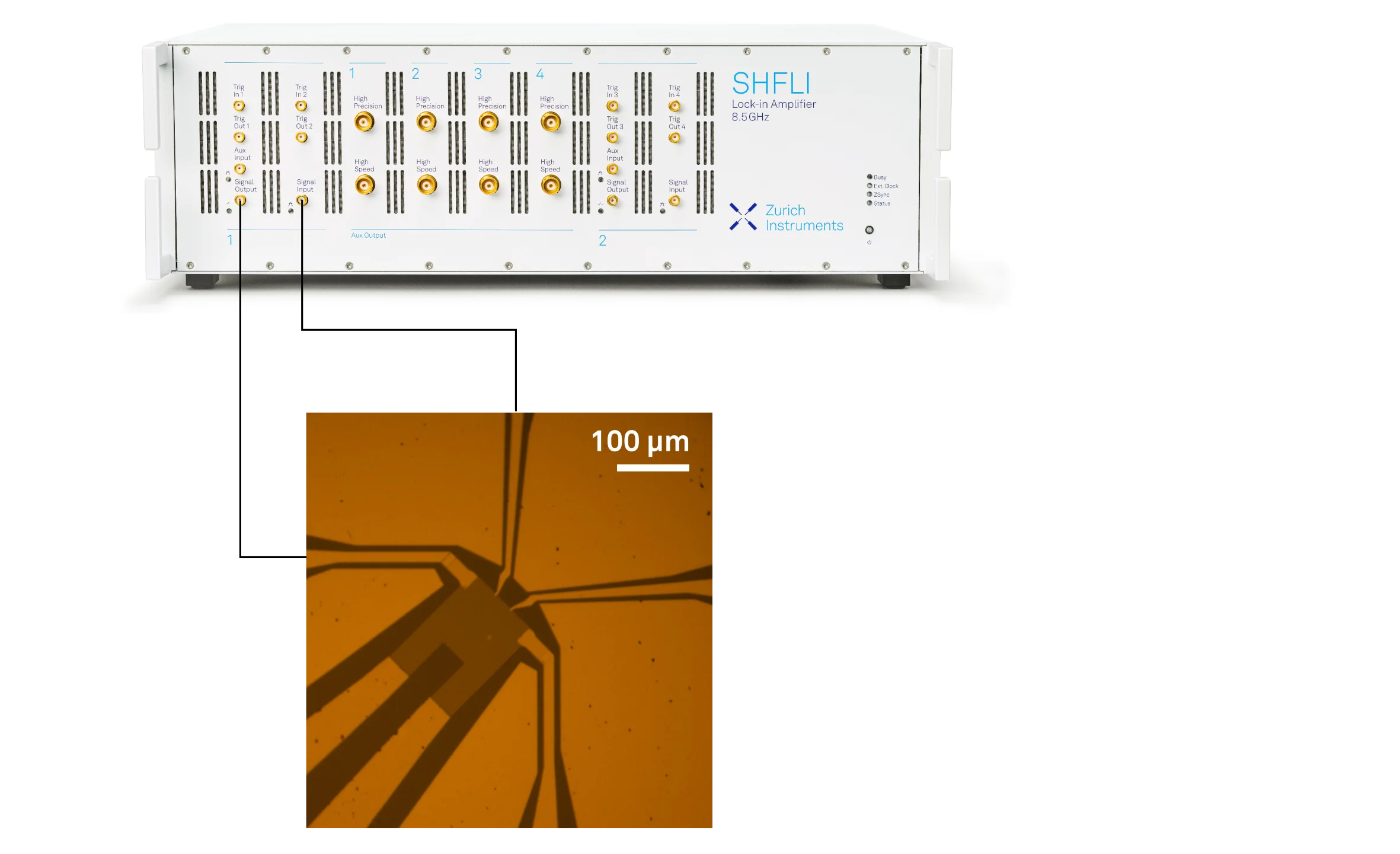 Optical micrograph of the sample.
