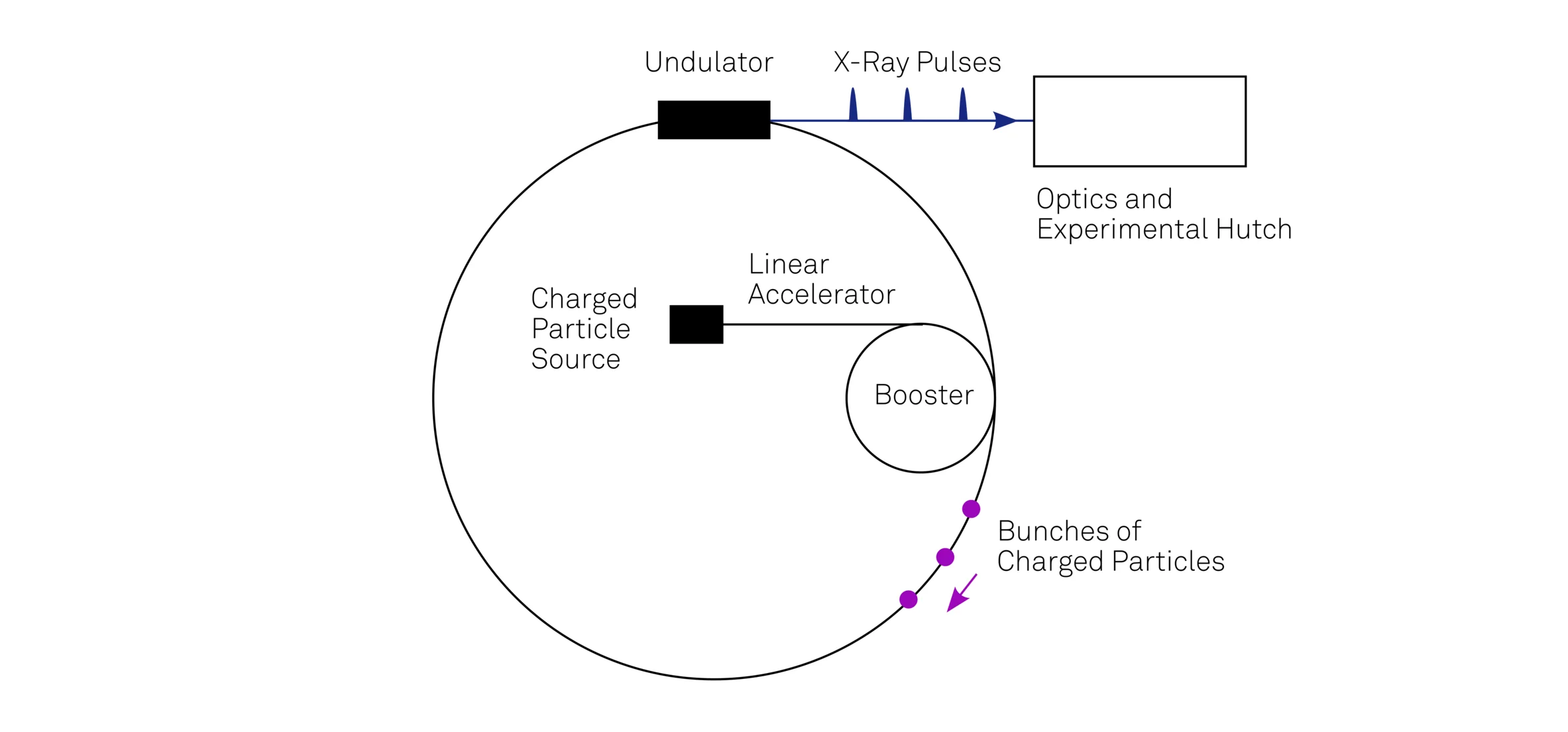 Schematic illustration of a synchrotron 