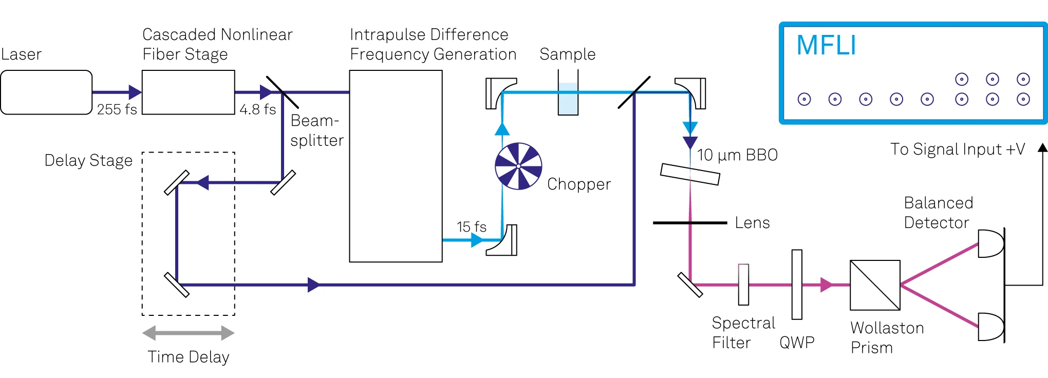 Setup schematic