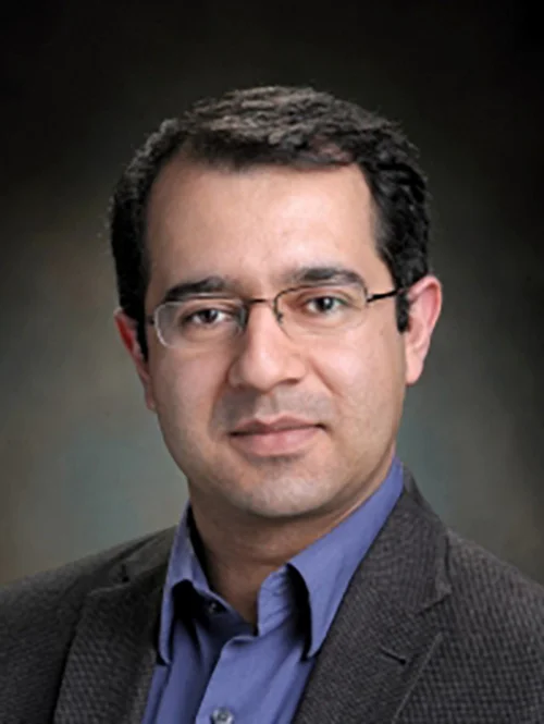 Behraad Bahreini